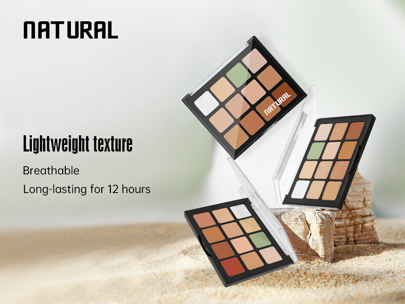 12 Colors Concealer Palette 3