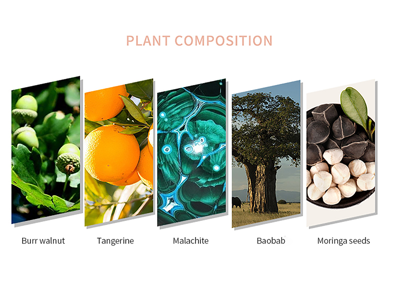 Eye Concealer Cream 4