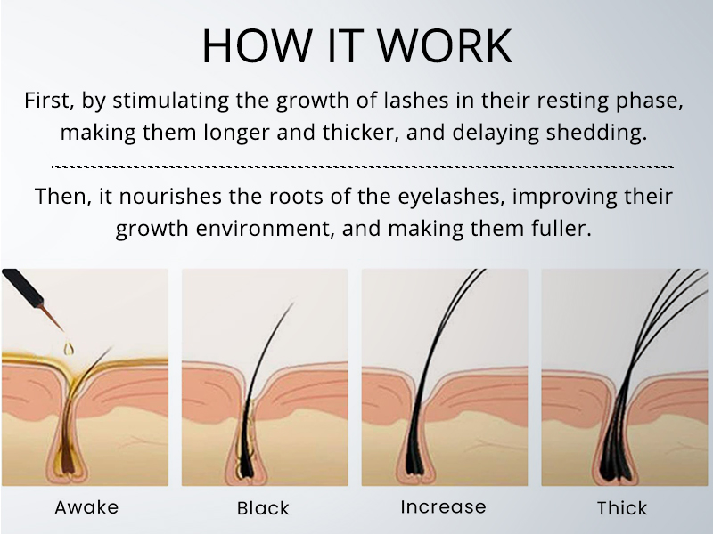 Eyelash Growth Serum 3