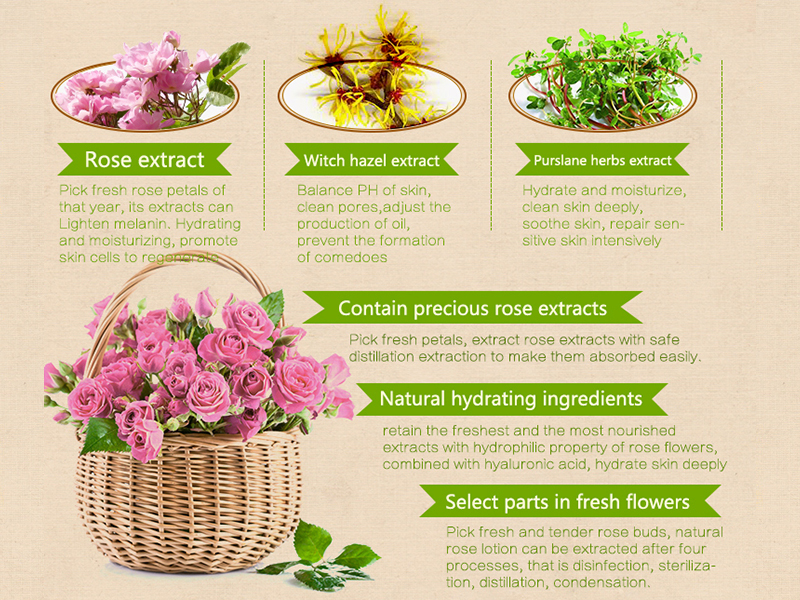 Hydrating Toner Spray 4