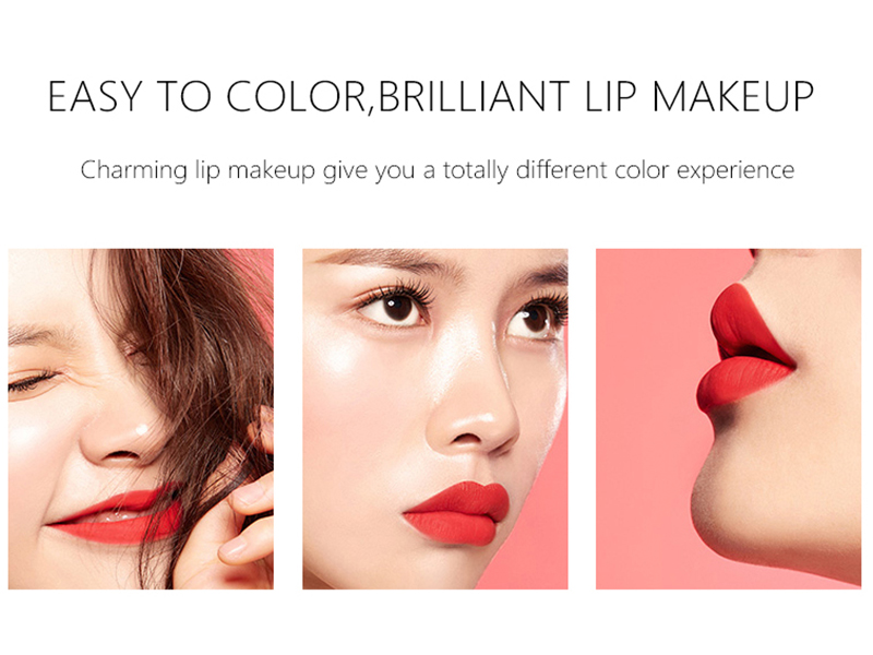 Long-lasting Matte Lipstick 5