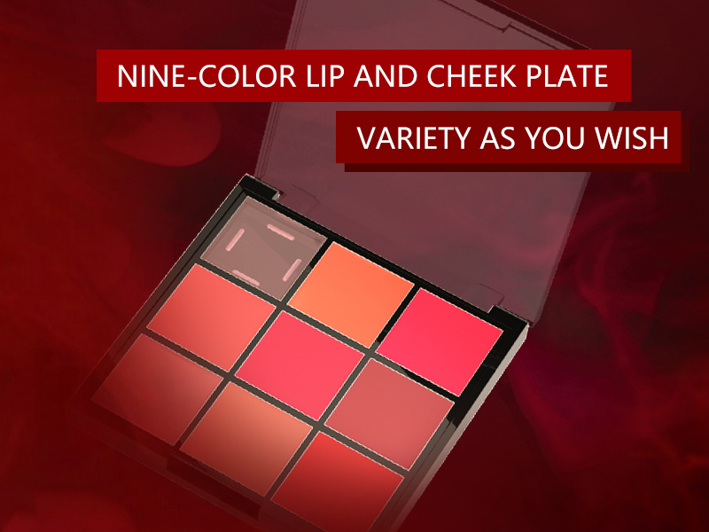 9 Colors Lip Palette 3