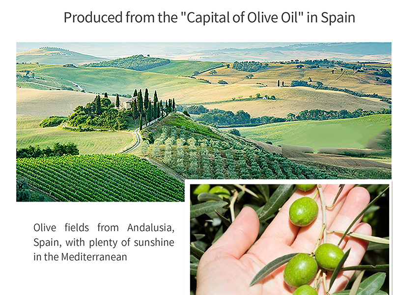 Organic Essential Oil 4