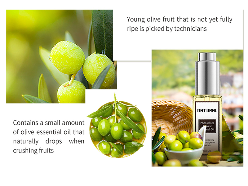 Organic Essential Oil 3