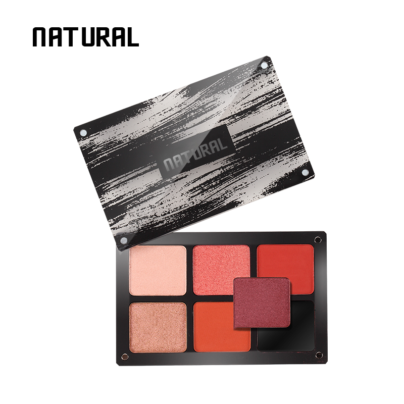 6 Colors DIY Eyeshadow